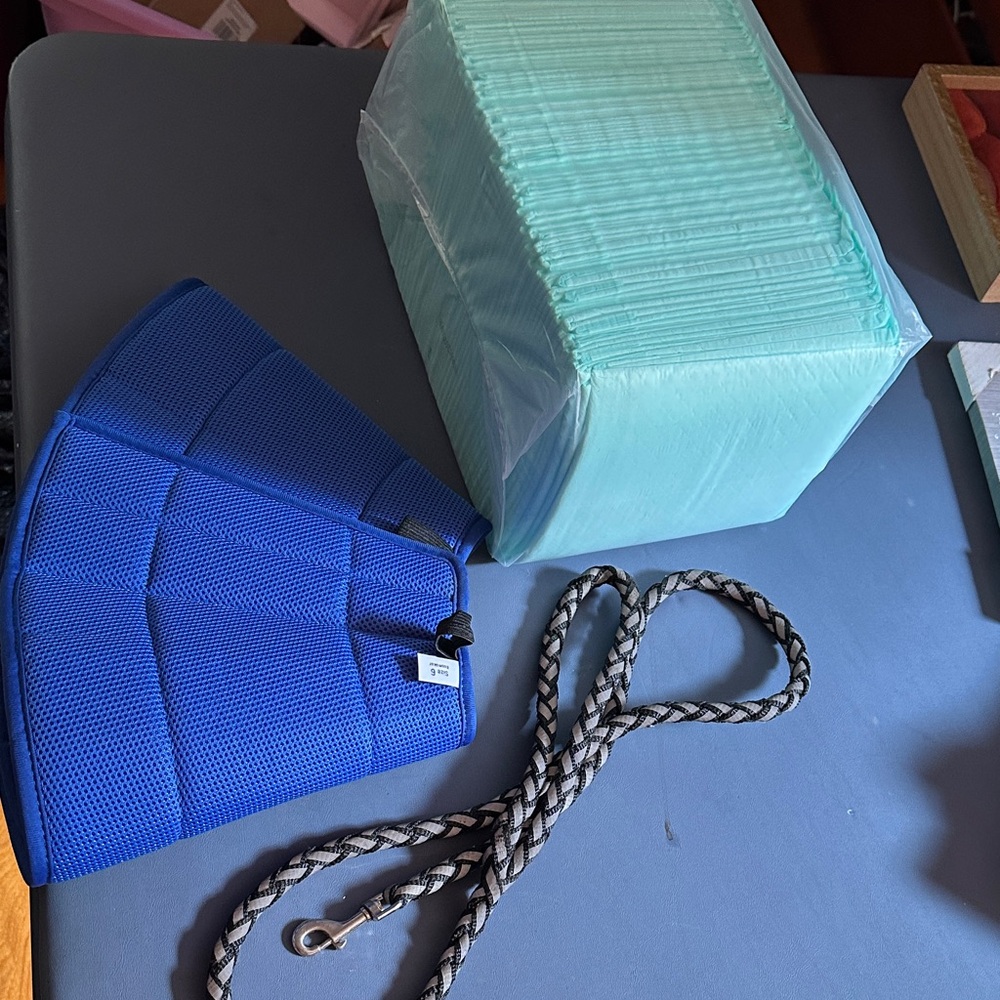 Blue Mesh cone of shame and Aqua Training Pads